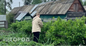 С июля 2024 действует строгий запрет, все: новое правило коснется всех, у кого есть дача и огород