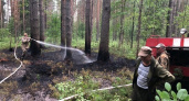 В Вологодской области за несколько дней потушили три лесных пожара