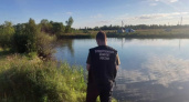  В Вологде выясняют обстоятельства гибели 17-летнего подростка на пруду