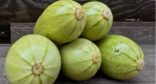 Рецепты из кабачков на зиму: простые и очень вкусные заготовки