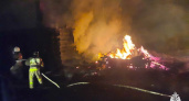 Два человека погибли сегодня ночью при пожаре в Вологодской области