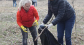 Общегородской субботник пройдёт в Вологде в эту субботу