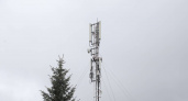 Около трассы Вологда-Череповец устанавливают и модернизируют вышки связи