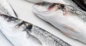 Назвали самую полезную рыбу - ешьте 2 раза в неделю, богата селеном, фосфором и хороша на вкус