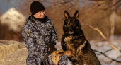 В Вологодской области полицейский-кинолог с собакой нашли пропавшего подростка