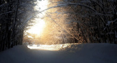 24 февраля в Вологодской области: от морозной ночи до теплоты почти весеннего дня
