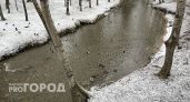 Эксперты заявили об отсутствии половодья в Вологде в этом году