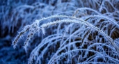 В марте ожидается мороз -33 градуса: Вильфанд представил прогноз на начало весны - готовьтесь к худшему
