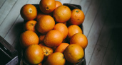 В «Перекрестках» появились новые апельсины в три раза дороже обычных: как есть Халлабон, чтобы не разочароваться