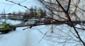 Синоптики предупредили о гололедице и ветре до 11 м/с в Вологодской области