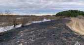 В Вологодской области ликвидированы пять возгораний сухой травы за сутки