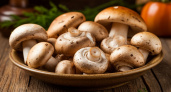 Ученые назвали самый полезный гриб: не шампиньоны, не вешенки и в 5 раз полезнее лисичек