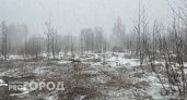В Вологодской области синоптики прогнозируют на 26 апреля снегопады