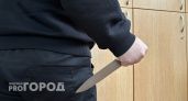 Житель Вологодской области получил наказание за удар ножом в спину сожительнице во время ремонта