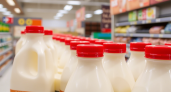 Подкрашенная мелом вода: Росконтроль назвал марки молока, которые лучше не брать даже по акции