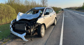 Лось стал причиной ДТП на трассе в Вологодской области