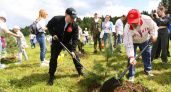 В Вологодской области дали старт всероссийской акции "Сад Памяти"