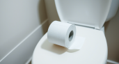 Туалетная бумага уходит в прошлое: европейская альтернатива приходит в дома россиян
