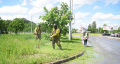 В Вологде покос травы и борьба с борщевиком идут полным ходом