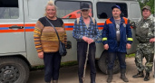 Шесть грибников пропали в лесах Вологодской области за сутки 