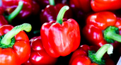 Вот почему в СССР назвали сладкий перец болгарским, хотя на самом деле он родом из США