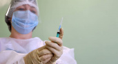 Масштабная кампания вакцинации охватила Вологодскую область