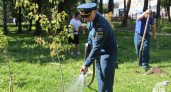 В Вологде увековечили юбилей МЧС зелёной аллеей