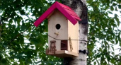 В Вологодской области на Октябрьской набережной появились десятки ярких скворечников