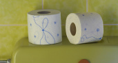 Россиянам сложно понять: эта странность с туалетной бумагой встречается только у японцев