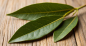 Положите лавровый лист под подушку: эффект долго не заставит себя ждать