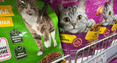Не травите этим кошек: в Роскачестве назвали худшие марки корма для животных