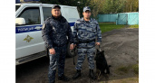 Немецкая овчарка Нубира выследила грабителя магазина в Вологодской области 