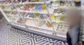 Вологодскому рецидивисту грозит тюремное заключение за кражу из магазина