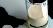 Как выбрать натуральное молоко и избежать подделки в магазине