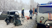 В Вологодской области в лобовом ДТП пострадали четверо детей