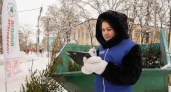 Вологжане сдали свыше 300 новогодних ёлок для экопереработки
