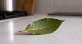Теперь я покупаю лавровый лист упаковками, но не для готовки - гениальный лайфхак от соседки