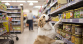 В Норвегии этот продукт идёт на корм собакам, а в России его обожают, но не всем по карману