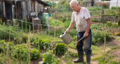 Пенсионеры-дачники смогут не платить за ряд услуг. Какие же льготы предусмотрены в 2026 году