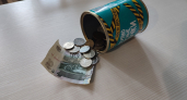 Школьница из Вологодской области пожертвовала копилку ради спасения пропавшего отца в зоне СВО