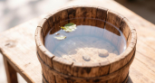 Столовая ложка на ведро воды – и морковная муха корчится в муках: корнеплоды с локоть – толстые, ровные и слаще меда