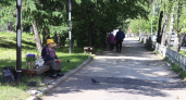 Прогноз погоды в Вологодской области обещает сильные ливни и грозы 17 июня