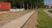 В Вологде благоустроят берёзовую рощу на набережной 6-й Армии