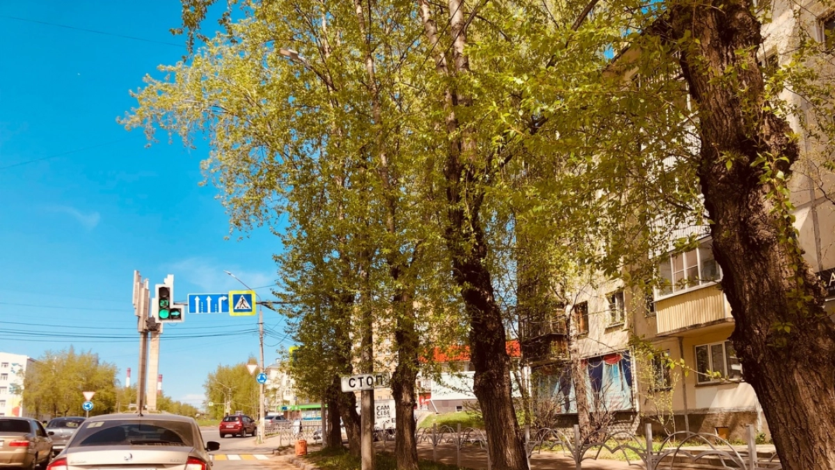 Прогноз погоды на лето: обновлённые данные синоптиков