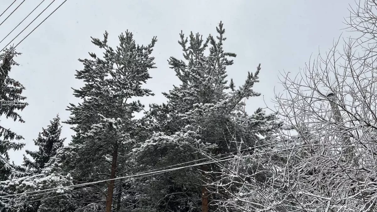 Прогноз погоды в Вологодской области на 10 марта