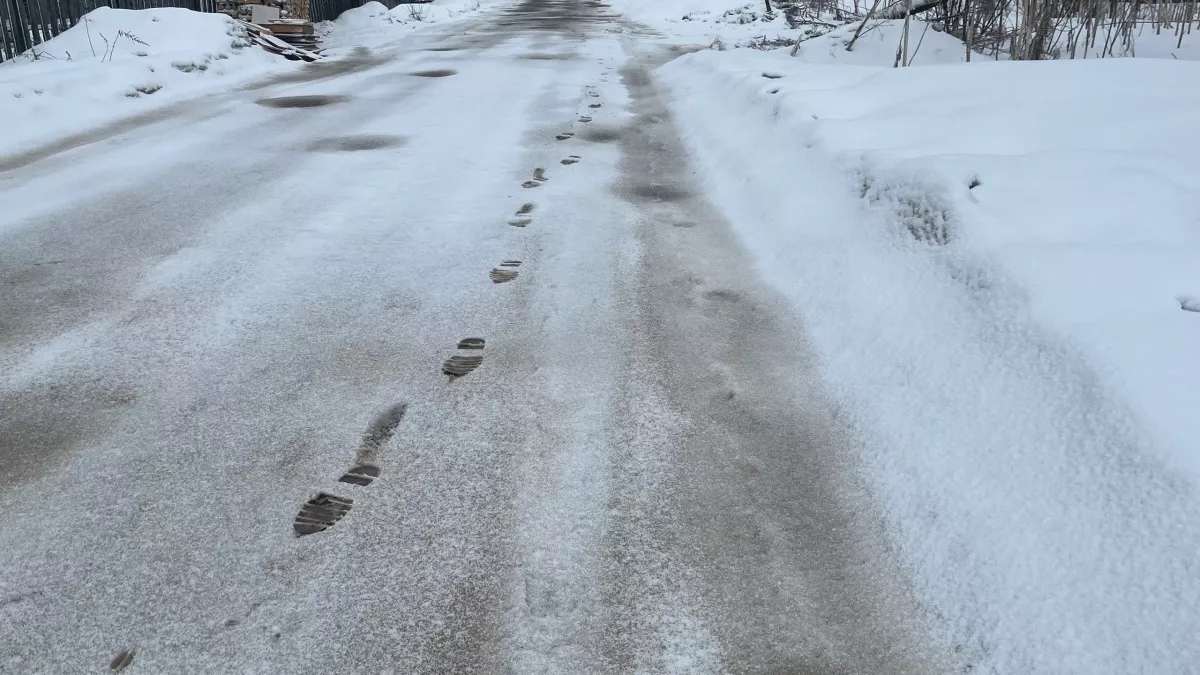 Прогноз погоды в Вологодской области на 12 марта обещает туман и +3 градуса тепла 