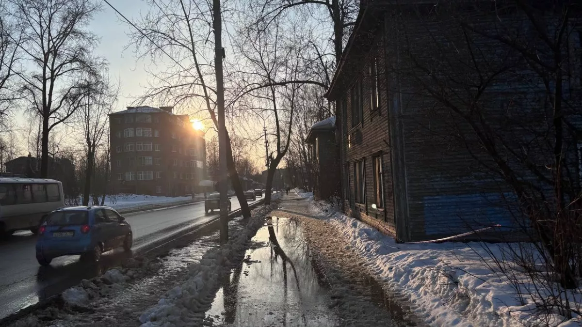 Антициклон обеспечит сухую погоду и прогрев до +12°C в Вологодской области 17 марта