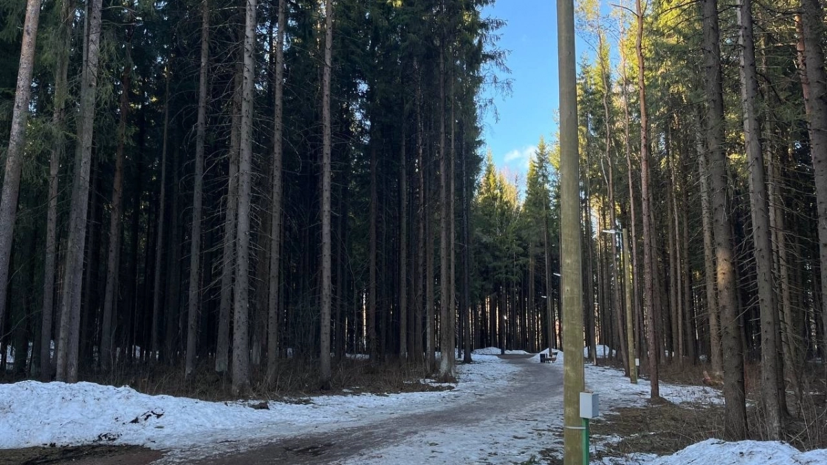 Прогноз погоды в Вологодской области на 18 марта обещает потепление