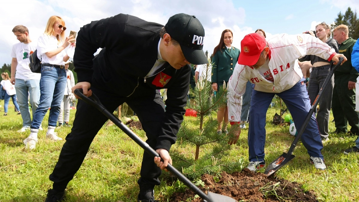 В Вологодской области высадят более 270 тысяч деревьев в рамках акции "Сад памяти"