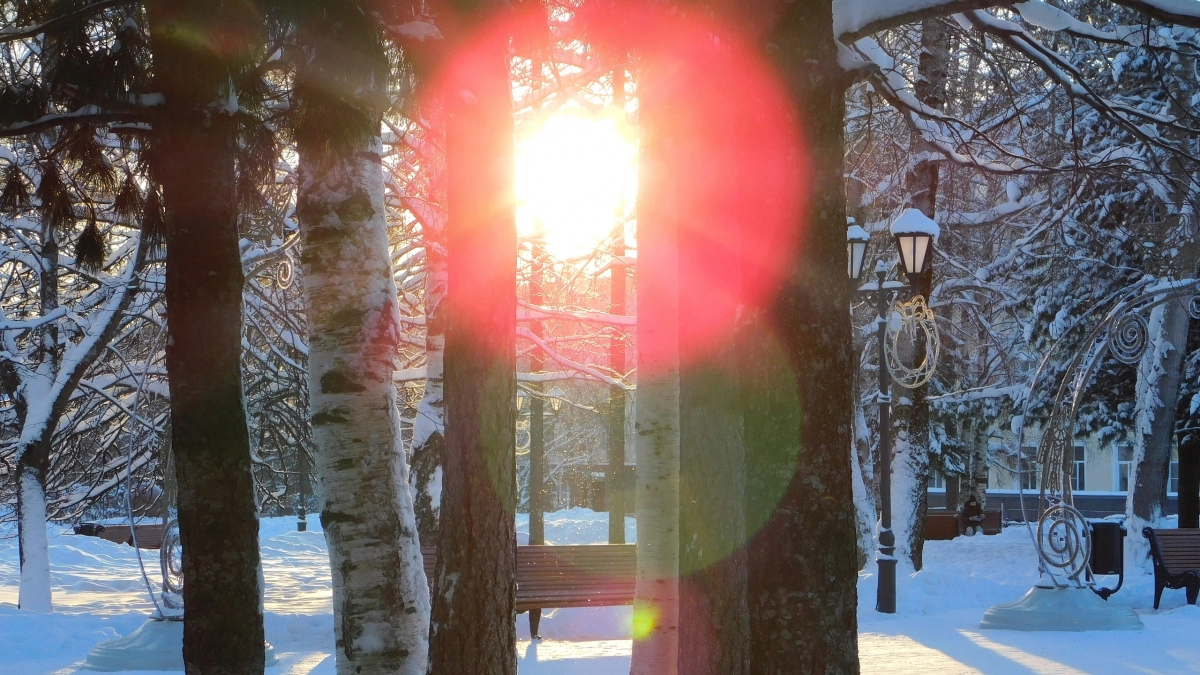 В Вологодскую область пришло аномальное тепло: синоптики обновили прогнозы на 19 марта 